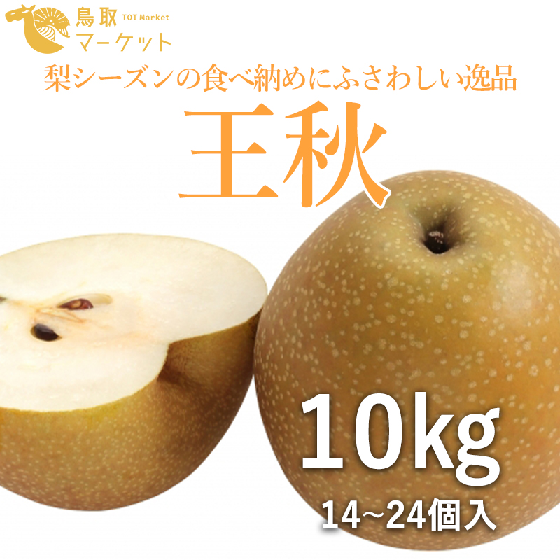 【鳥取県産】王秋 10kg