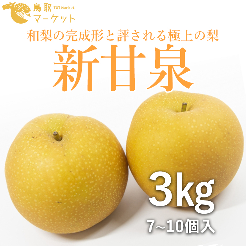 受注生産品】 ふるさと納税 Y019 プレミアム新甘泉 3kg 鳥取県八頭町